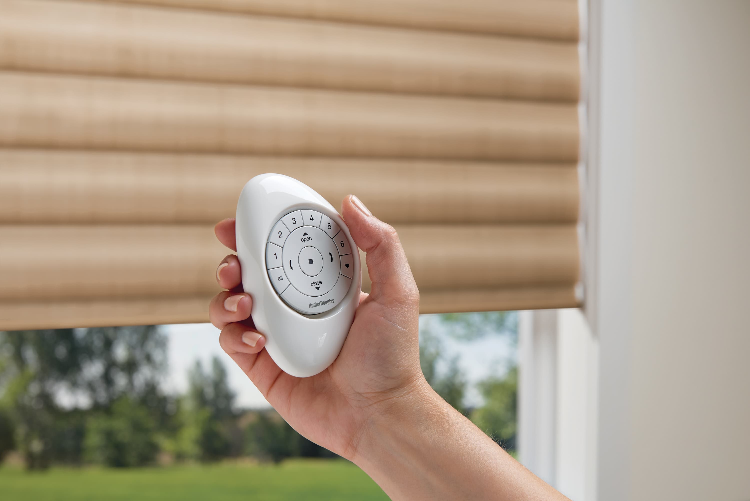Motorization