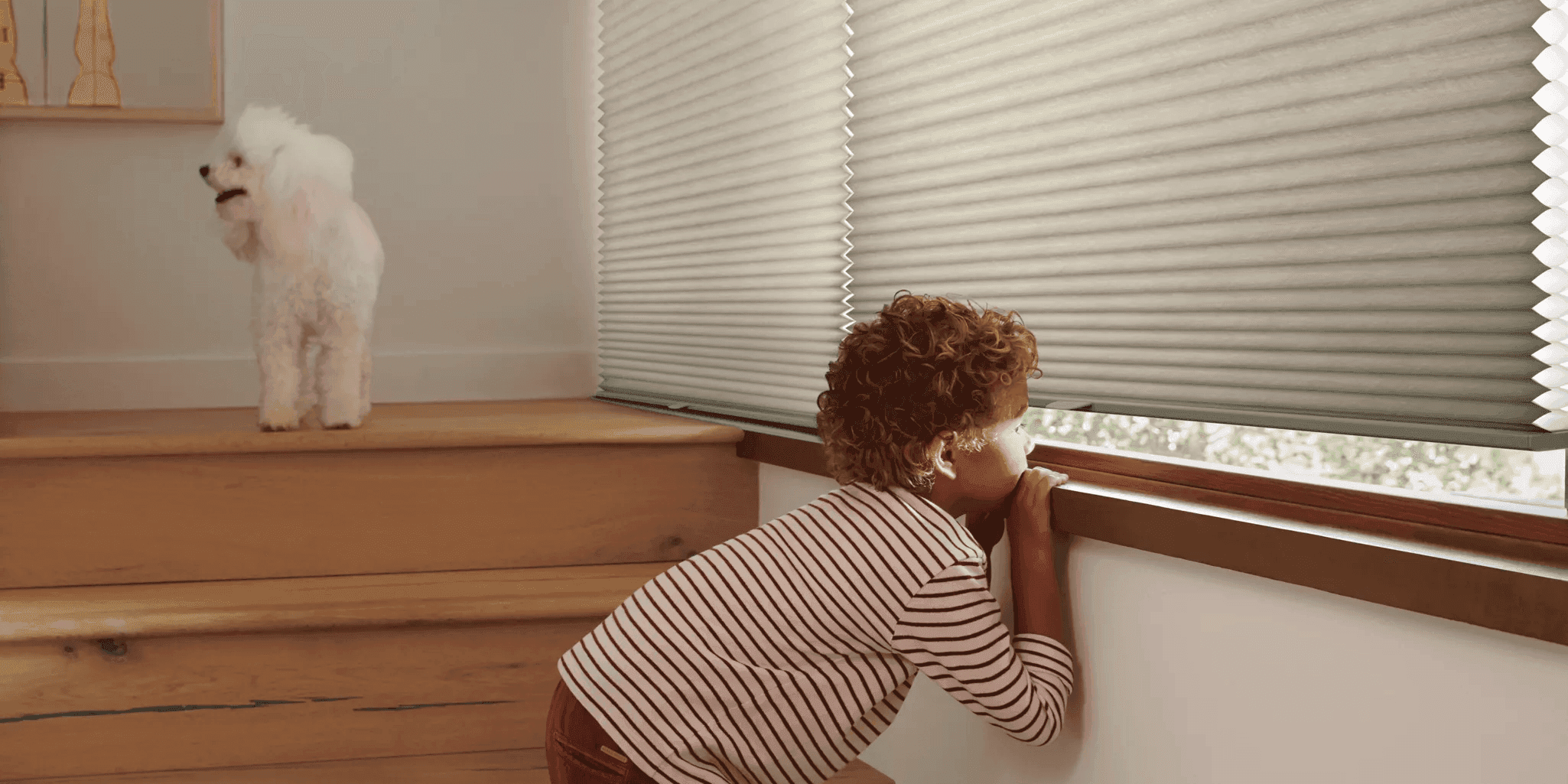 Child Safety